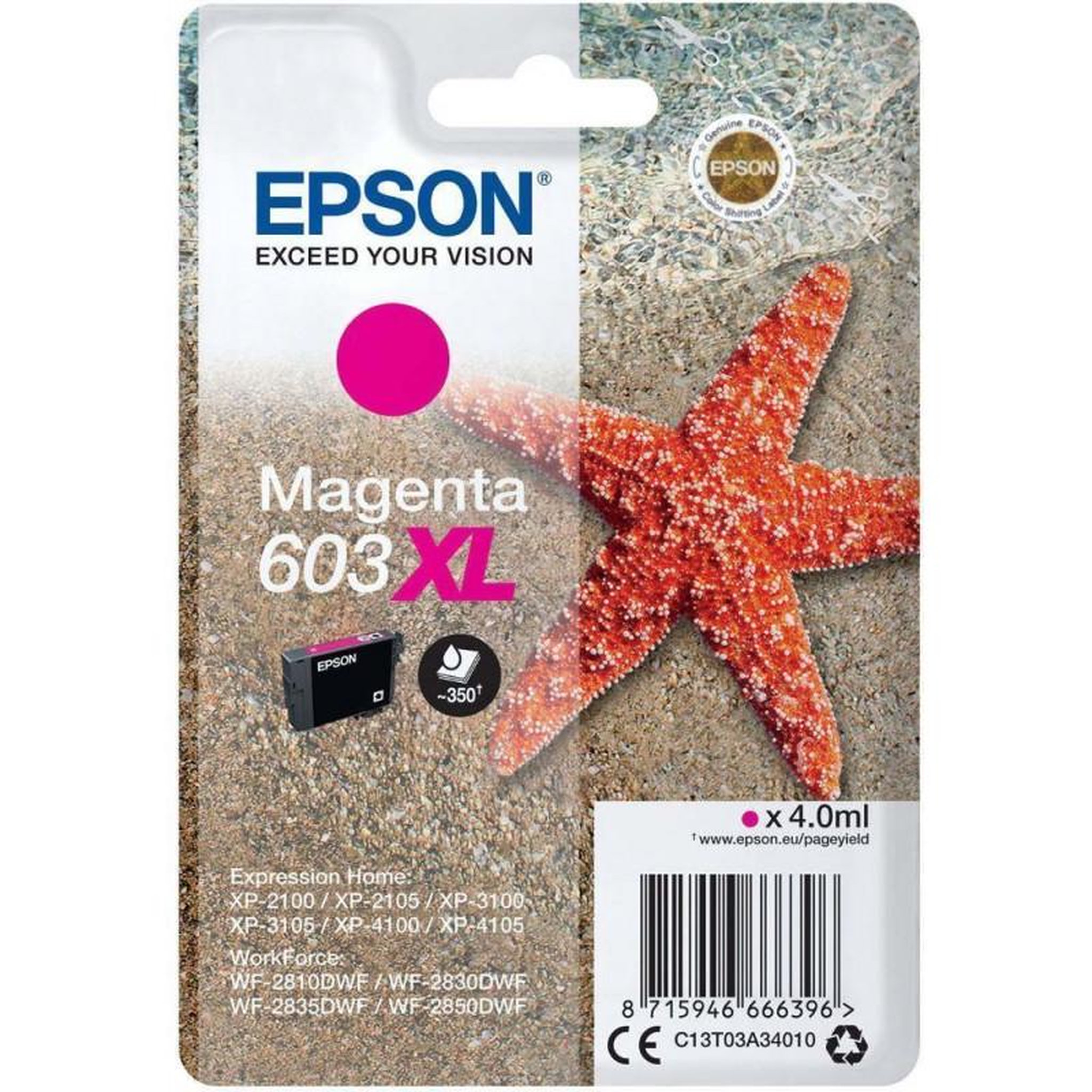 Epson CONSOMMABLE EPSON C 13 T 03 A 34010