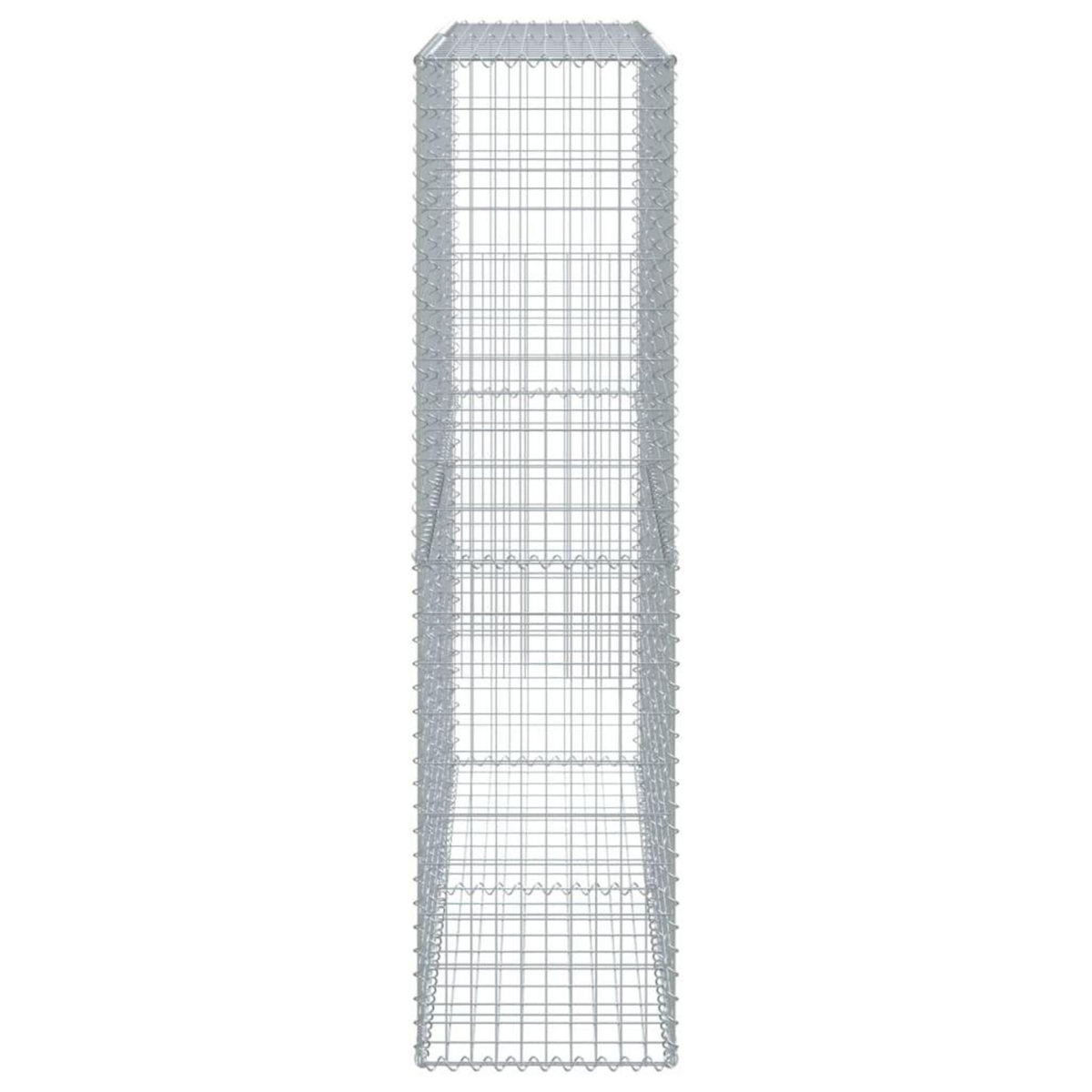 VIDAXL Panier gabion avec couvercle 200x50x200 cm fer galvanise