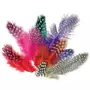 Graine créative 200 plumes colorées de pintade