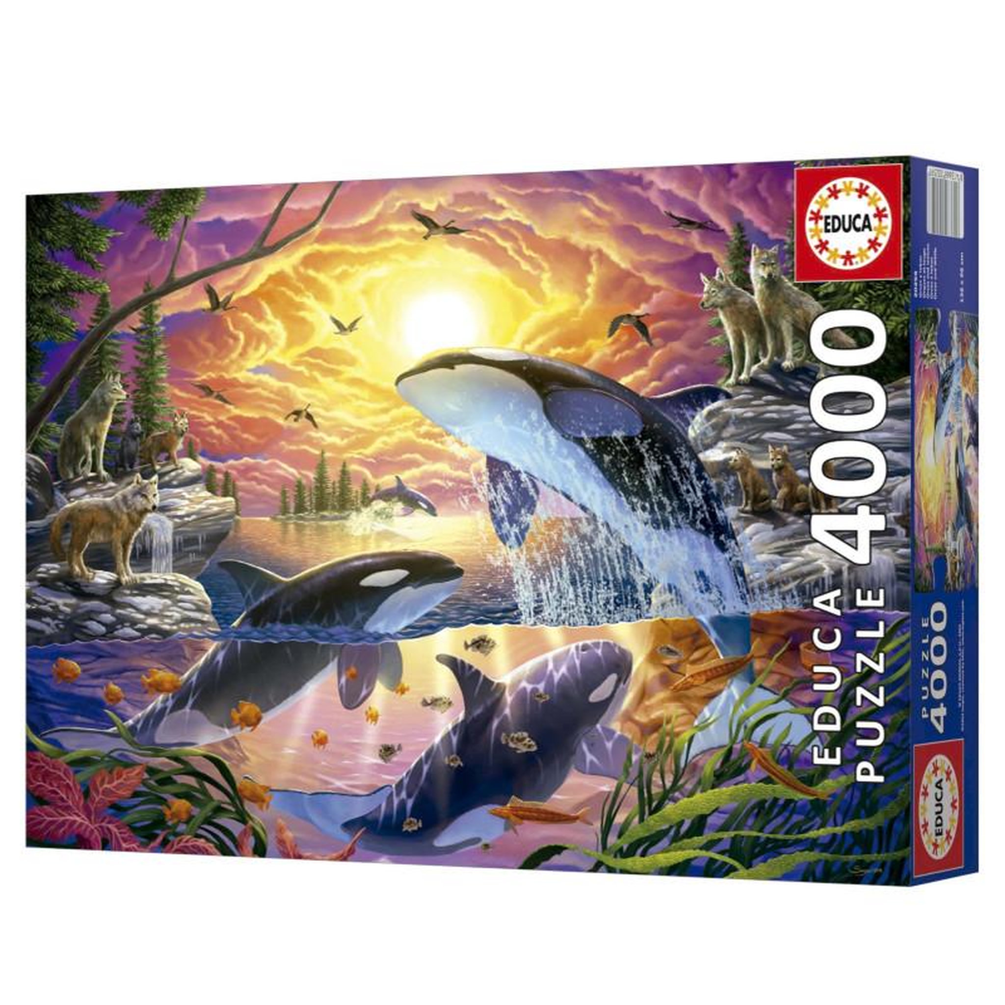 Voir la diapositive 3 : EDUCA Puzzle 4000 pièces – Orques et loups – Scène nature sauvage – Très grand format 136 x 96 cm – Défi adulte dès 15 ans – Educa