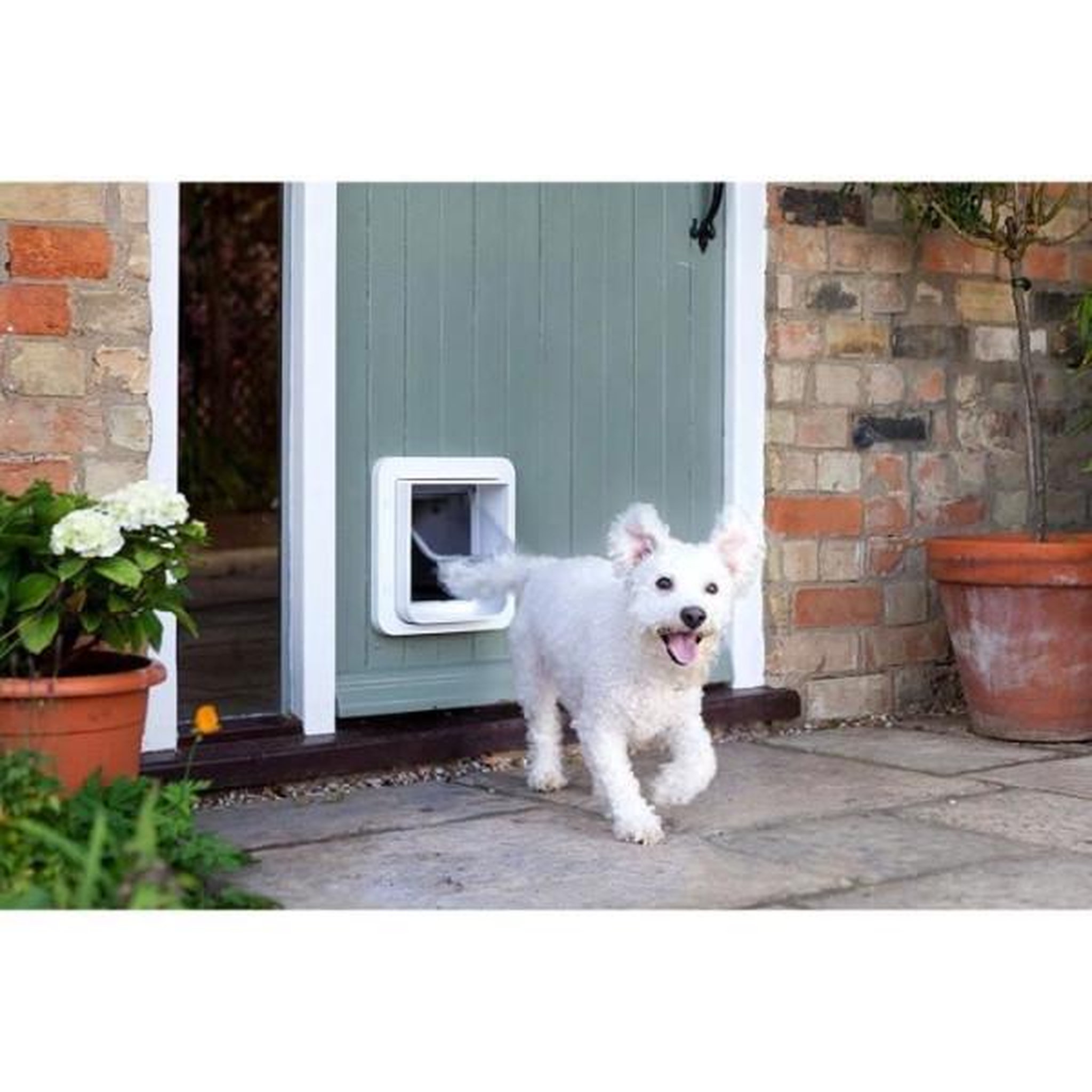 Voir la diapositive 6 : Pet Safe SUREFLAP Grande chatiere a puce électronique - Blanc - 178 mm x 170 mm (Mémorisation d'un maximum de 32 puces)