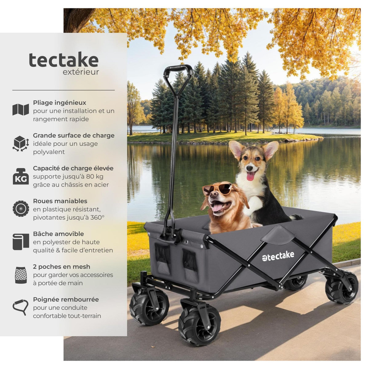 tectake Chariot de jardin et de transport pliable gris
