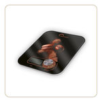 LITTLE BALANCE Balance de cuisine Cocoa powder - sans pile - Kinetic