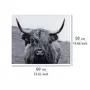 Wenko Fond de hotte en verre trempé Highland Cattle - Longueur 60 cm x Largeur 50 cm