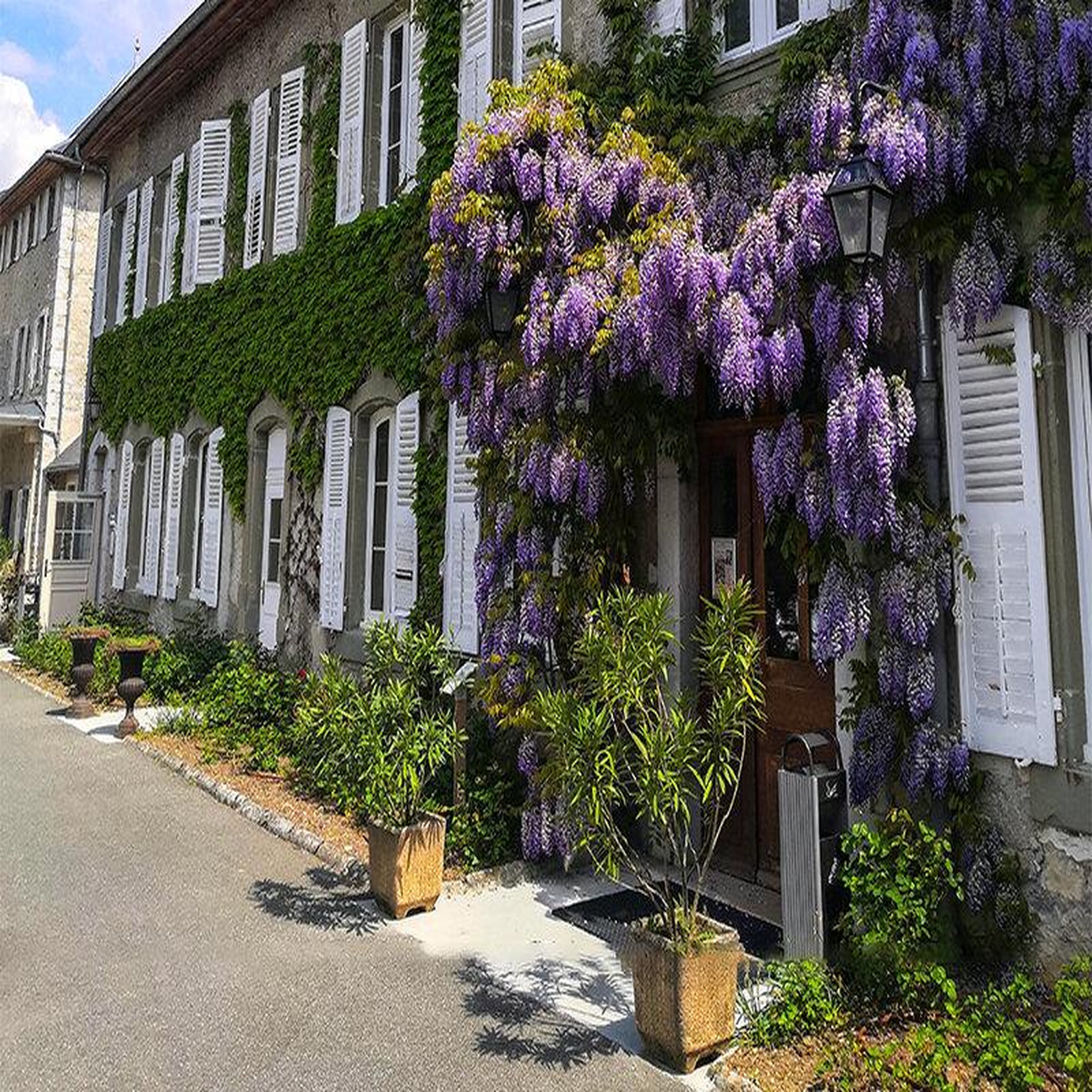 Voir la diapositive 3 : Smartbox 2 jours en suite dans un château aux portes de chambéry avec dégustation de vins - coffret cadeau séjour