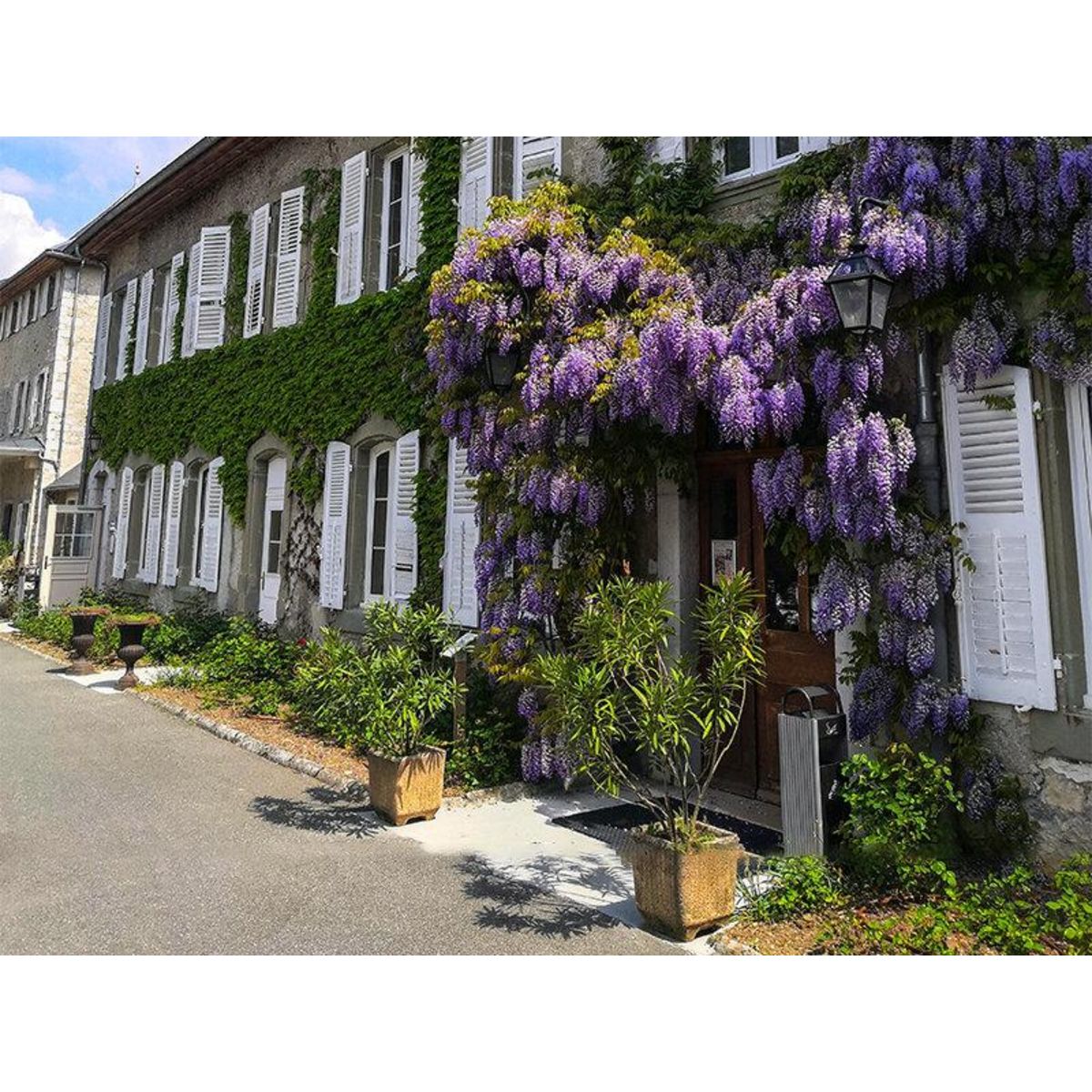 Smartbox 2 jours en suite dans un château aux portes de Chambéry avec dégustation de vins - Coffret Cadeau Séjour