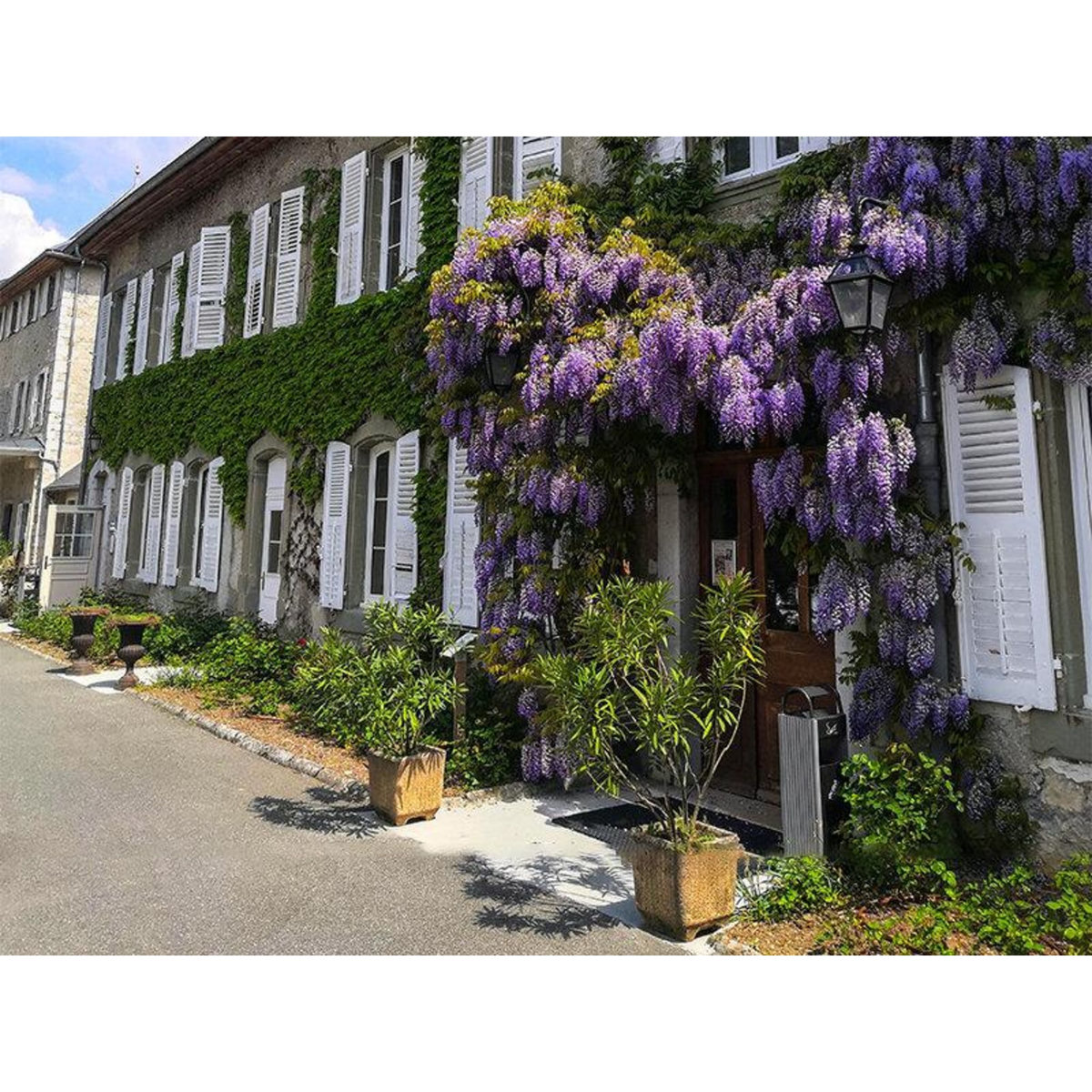 Smartbox 2 jours en suite dans un château aux portes de Chambéry avec dégustation de vins - Coffret Cadeau Séjour