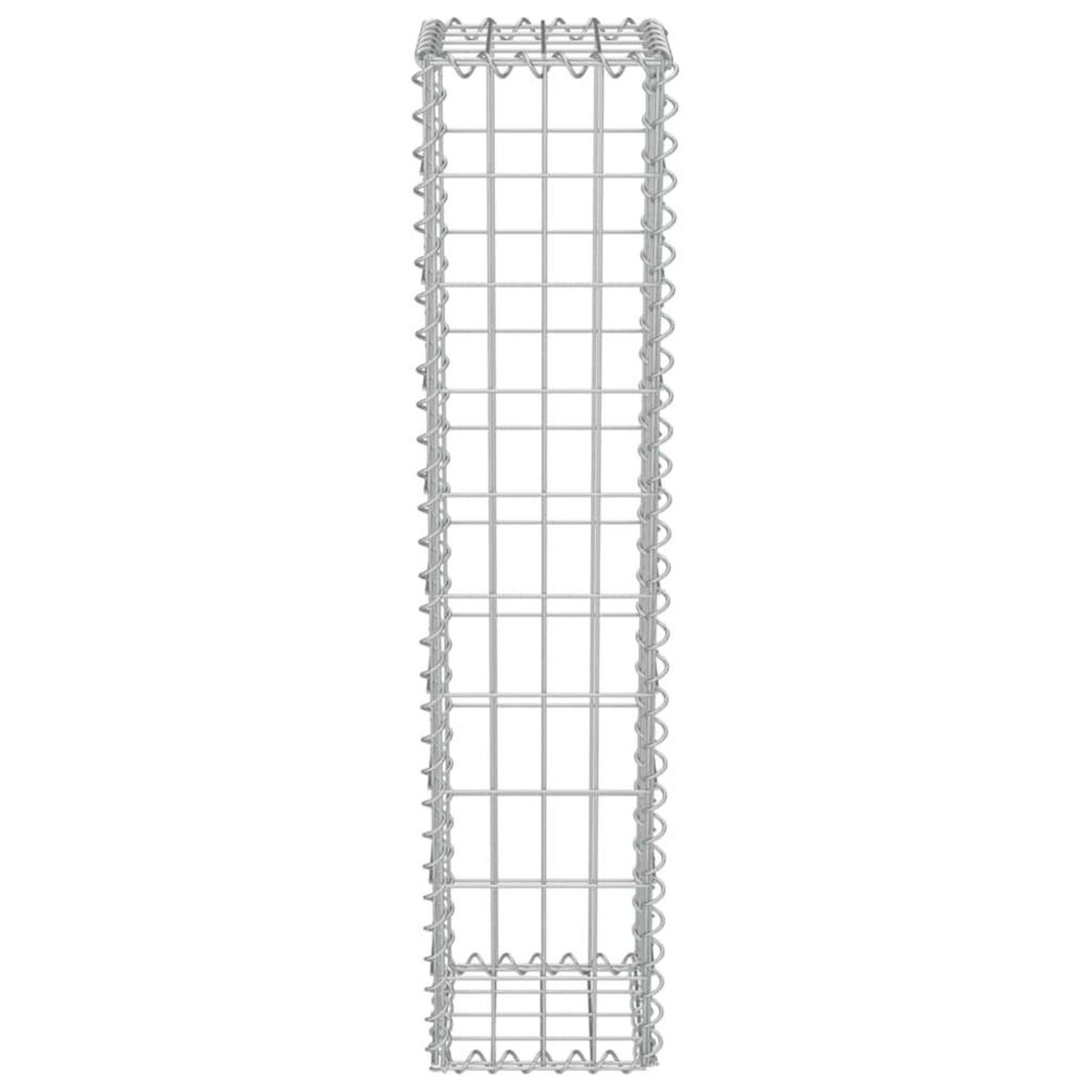 VIDAXL Mur a gabion avec couvercles Acier galvanise 20x20x100 cm