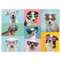 Voir la diapositive 2 : RAVENSBURGER Puzzle 150 p xxl - chiens rigolos