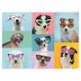 Voir la diapositive 2 : RAVENSBURGER Puzzle 150 p xxl - chiens rigolos