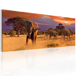 Paris Prix Tableau Imprimé  March of African Elephants. Coloris disponibles : Multicolore