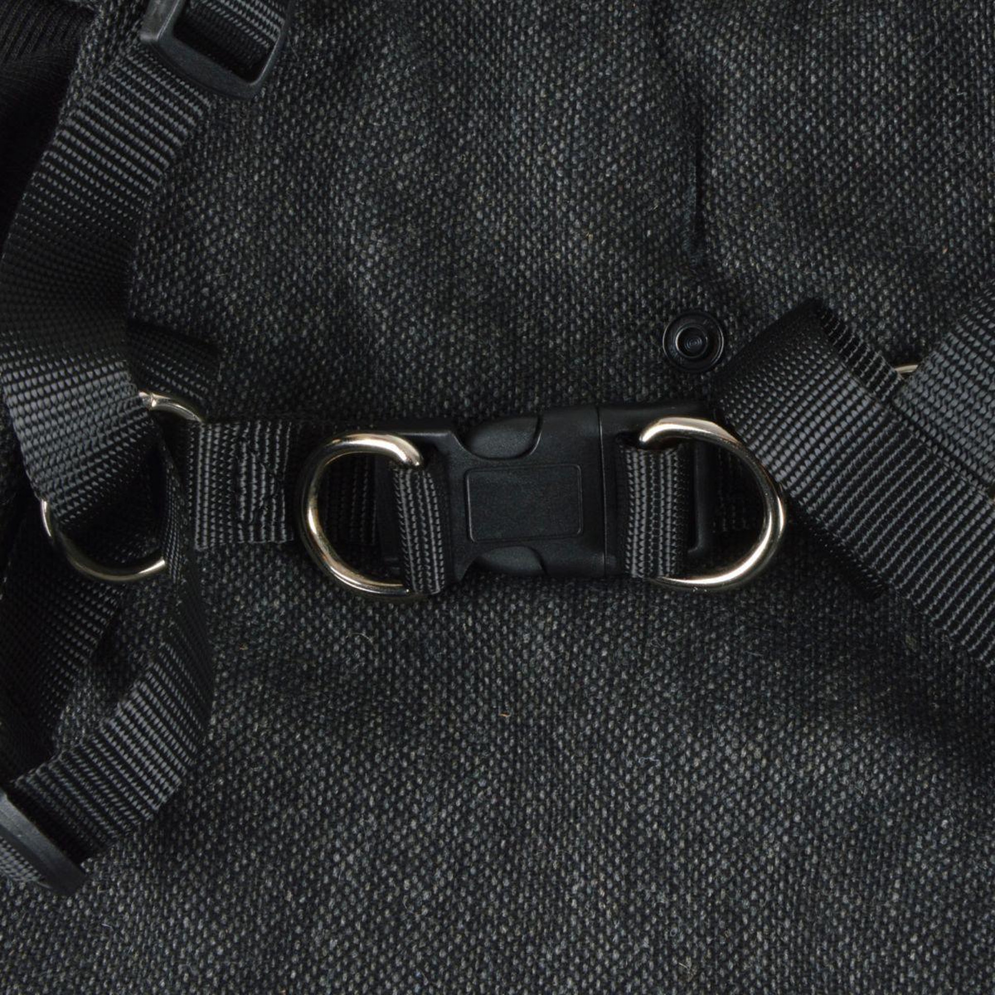 Voir la diapositive 6 : LOVE STORY Manteau pour chien  tweed  35cm anthracite