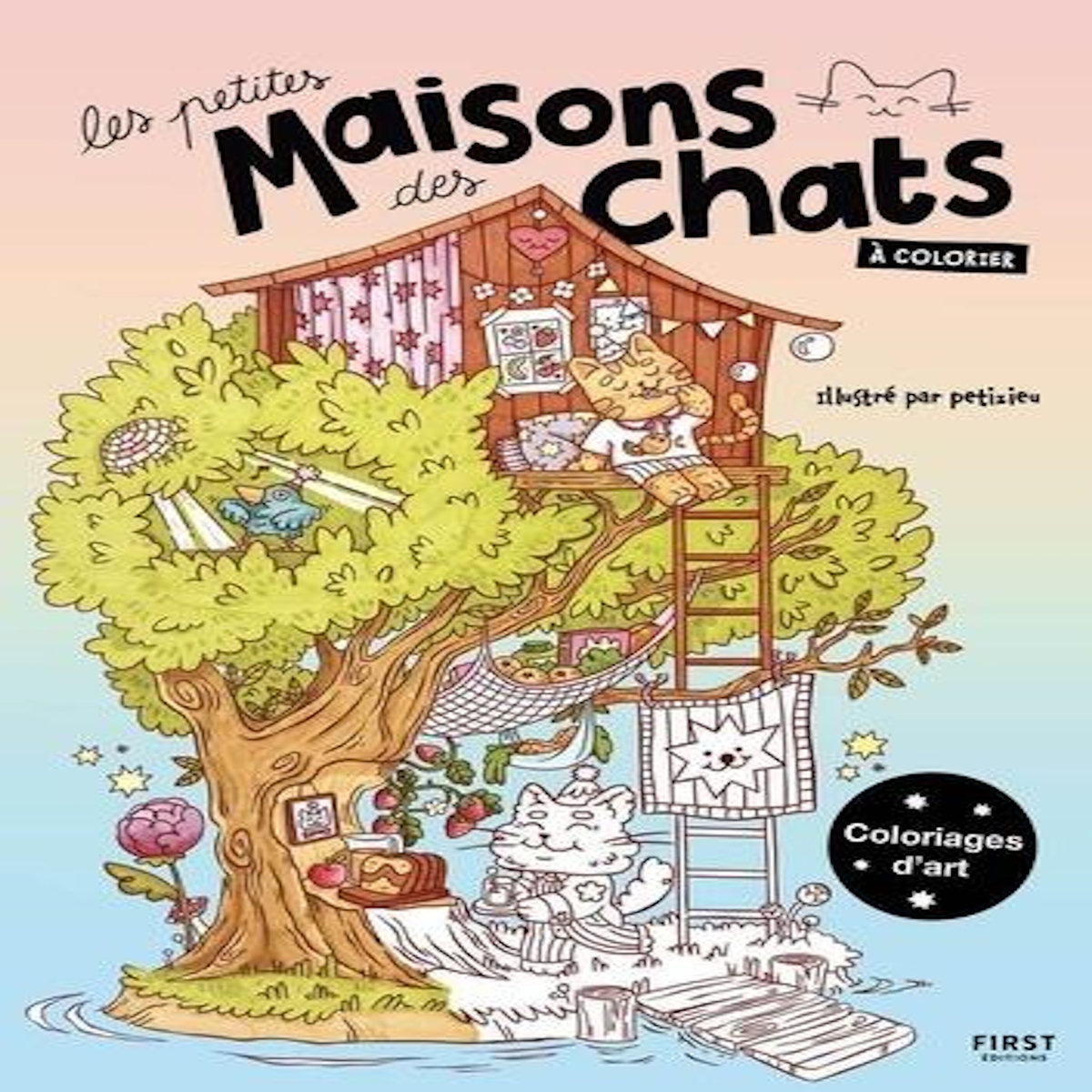 LES PETITES MAISONS DES CHATS A COLORIER, Petizieu