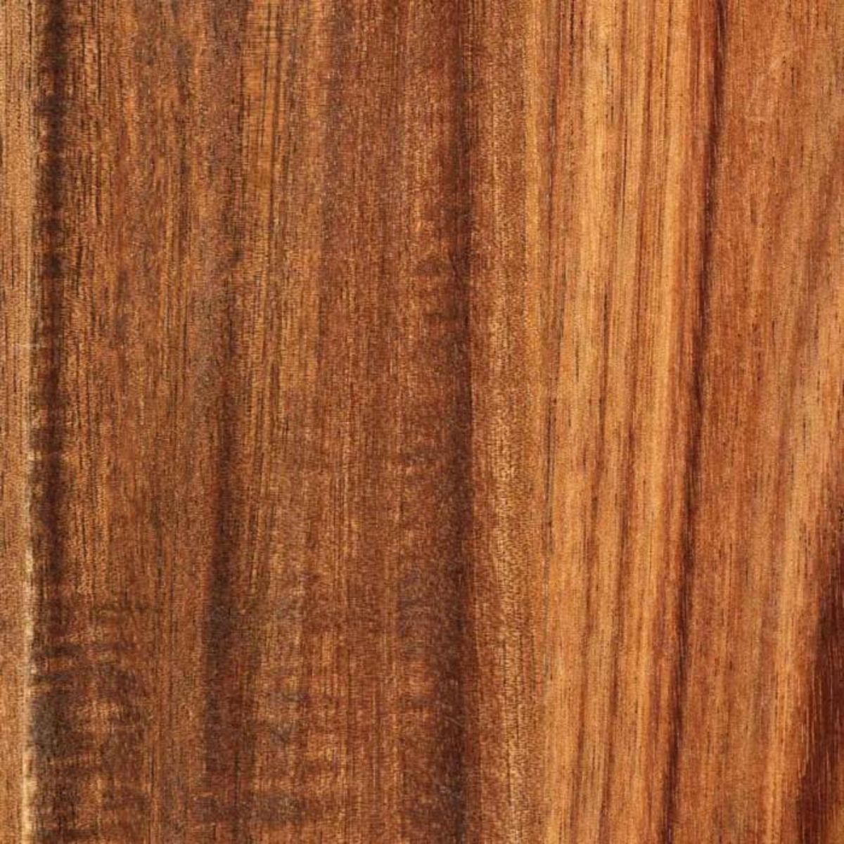 SECRET DE GOURMET Lot de 6 Assiettes de Présentation  Acacia  20cm Marron