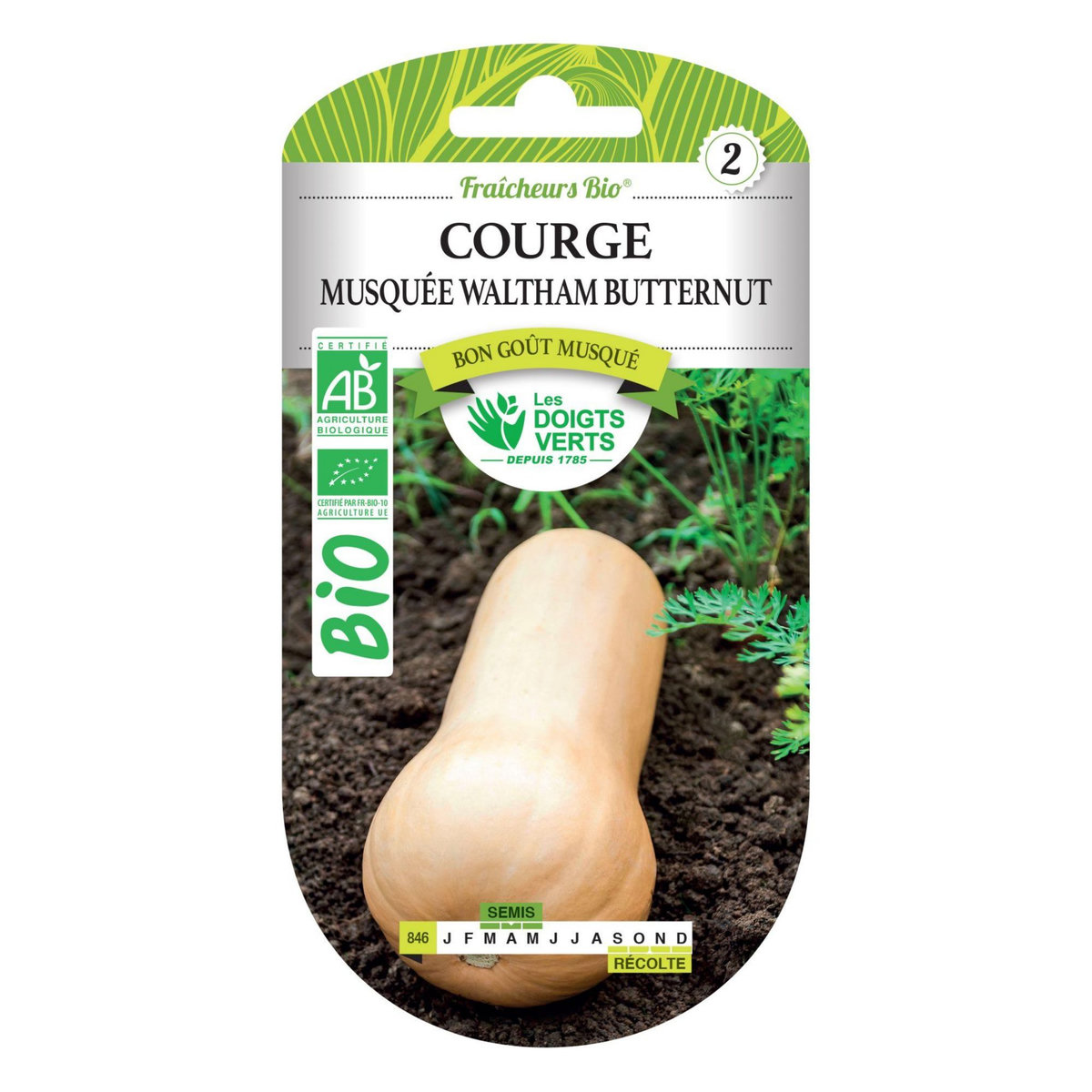 LES DOIGTS VERTS Graines Courge Musquée Waltham Butternut BIO Les Doigts Verts