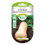 Voir la diapositive 1 : LES DOIGTS VERTS Graines Courge Musquée Waltham Butternut BIO Les Doigts Verts