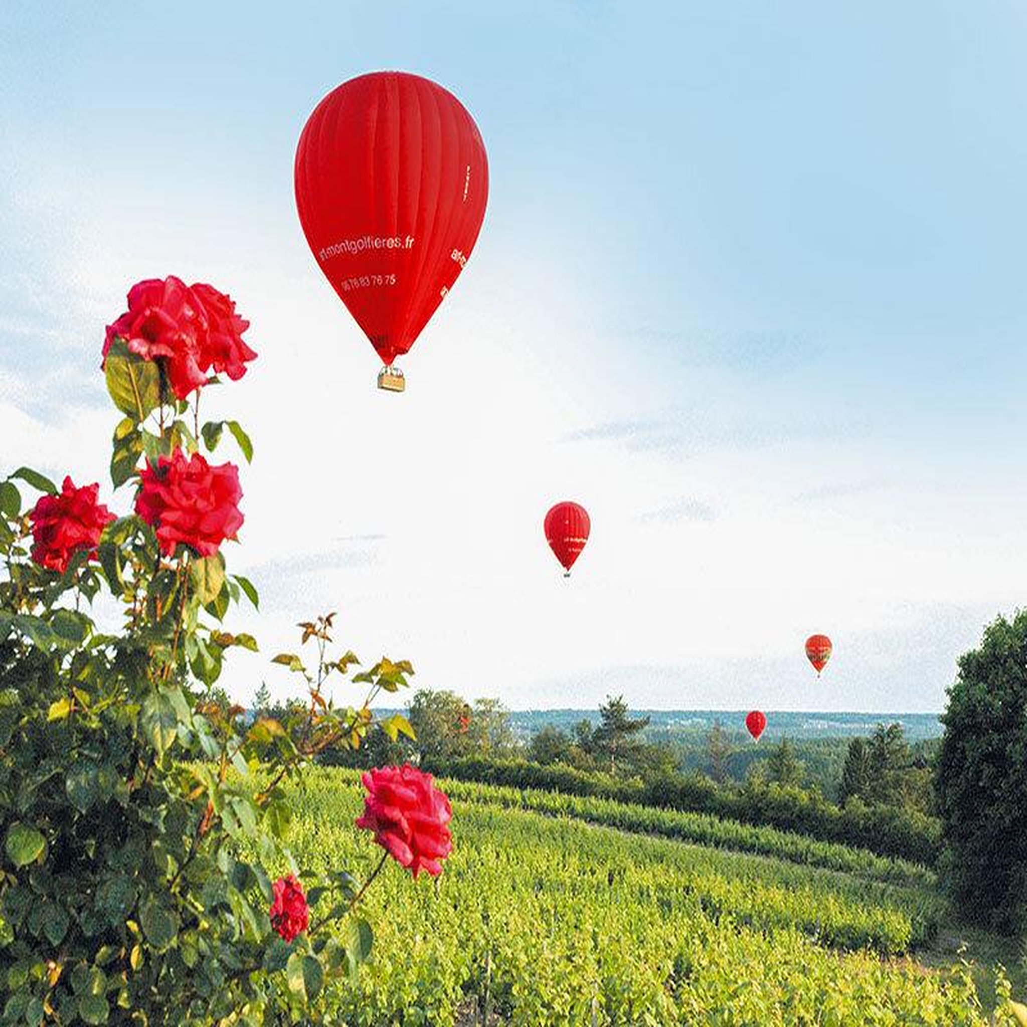 Voir la diapositive 3 : Smartbox Vol en montgolfière pour 2 personnes au-dessus du château de chaumont-sur-loire - coffret cadeau sport & aventure