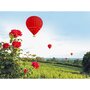 Voir la diapositive 3 : Smartbox Vol en montgolfière pour 2 personnes au-dessus du château de Chaumont-sur-Loire - Coffret Cadeau Sport & Aventure