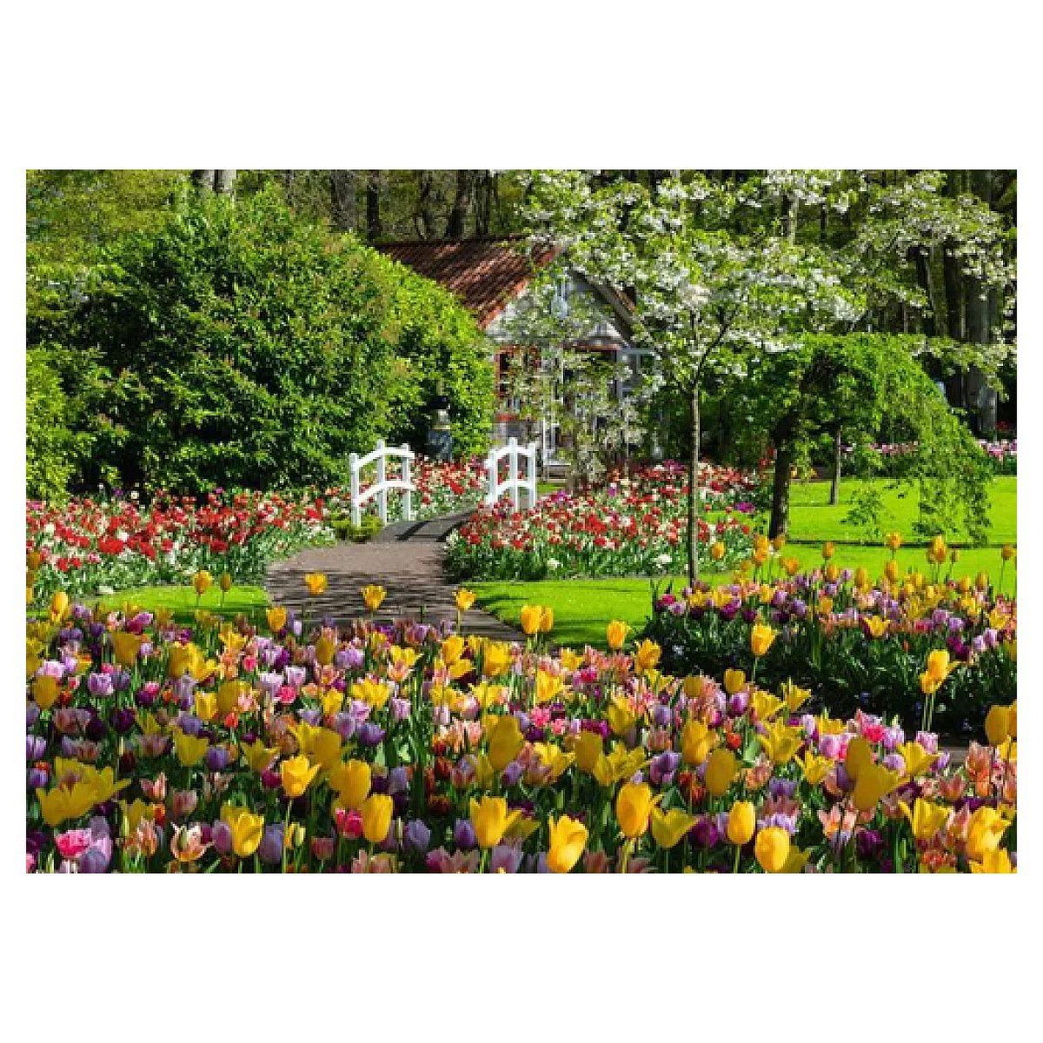 Voir la diapositive 2 : Nathan 1000p puzzle le jardin de keukenhof aux pays-bas