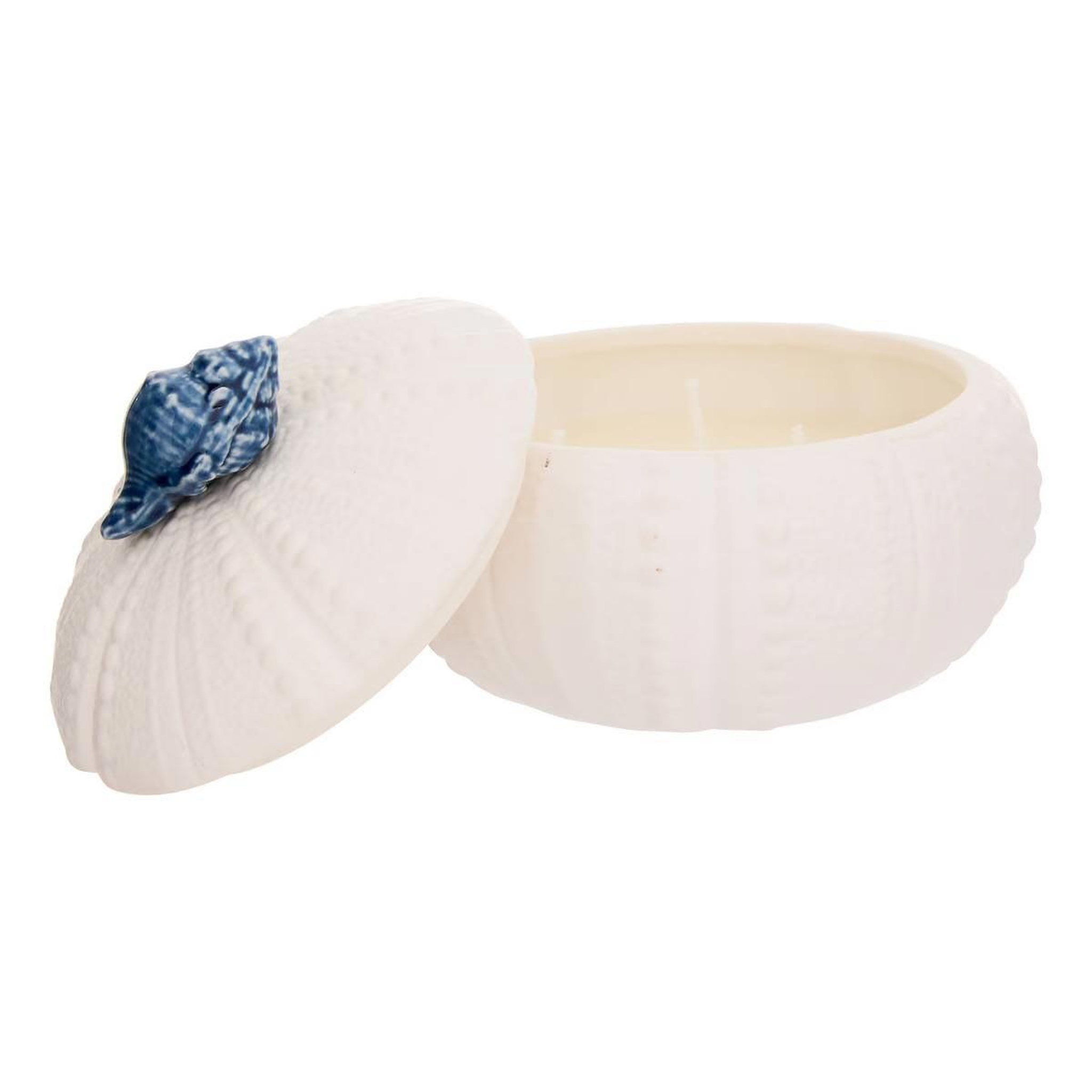 Voir la diapositive 2 : ATMOSPHERA Bougie parfumée design coquillage  ocea  170g ylang