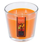 COMPTOIR DE LA BOUGIE Bougie Parfumée  Nina  500g Fruits Exotiques