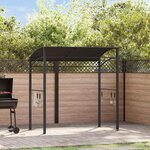 VIDAXL Belvedere de barbecue 215x150x220 cm Anthracite Acier