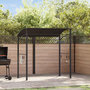 Voir la diapositive 1 : VIDAXL Belvedere de barbecue 215x150x220 cm Anthracite Acier