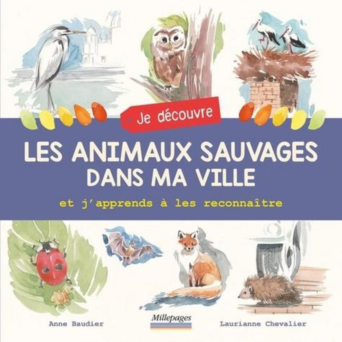 JE DECOUVRE LES ANIMAUX SAUVAGES DANS MA VILLE ET J'APPRENDS A LES RECONNAITRE, Baudier Anne