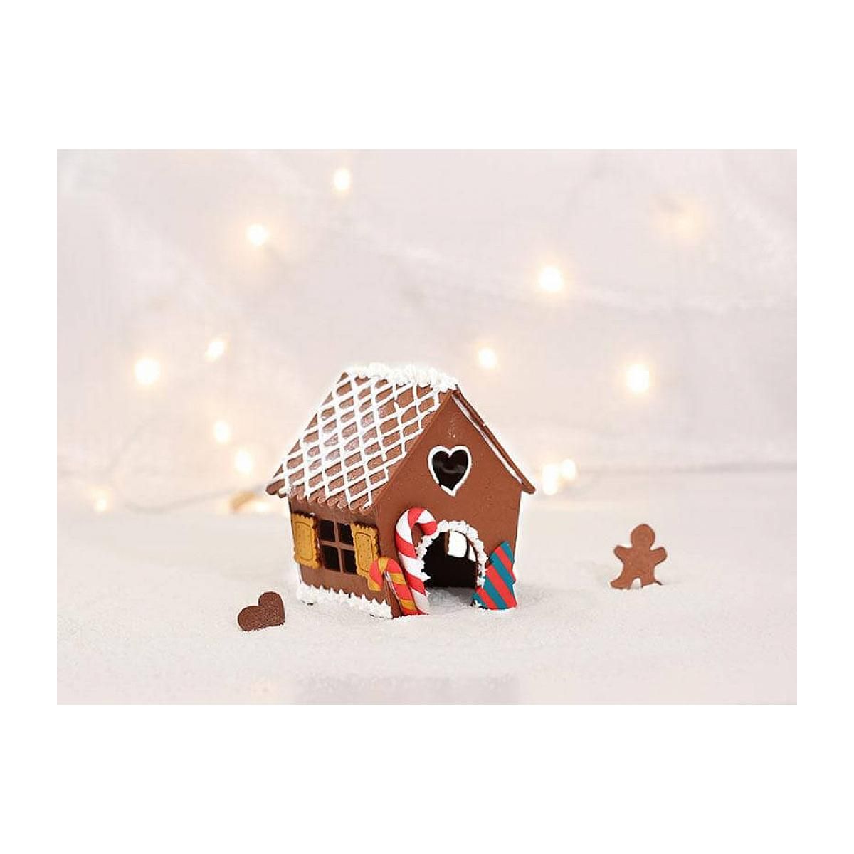 Graine créative Maison pain d epices a modeler FIMO