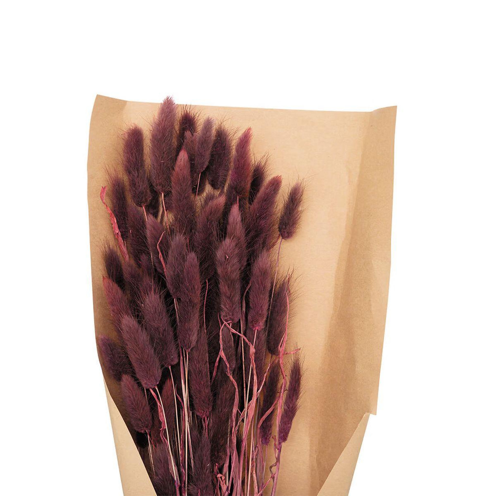 Voir la diapositive 2 : ATMOSPHERA Bouquet de fleurs  queue de lapin  58cm violet