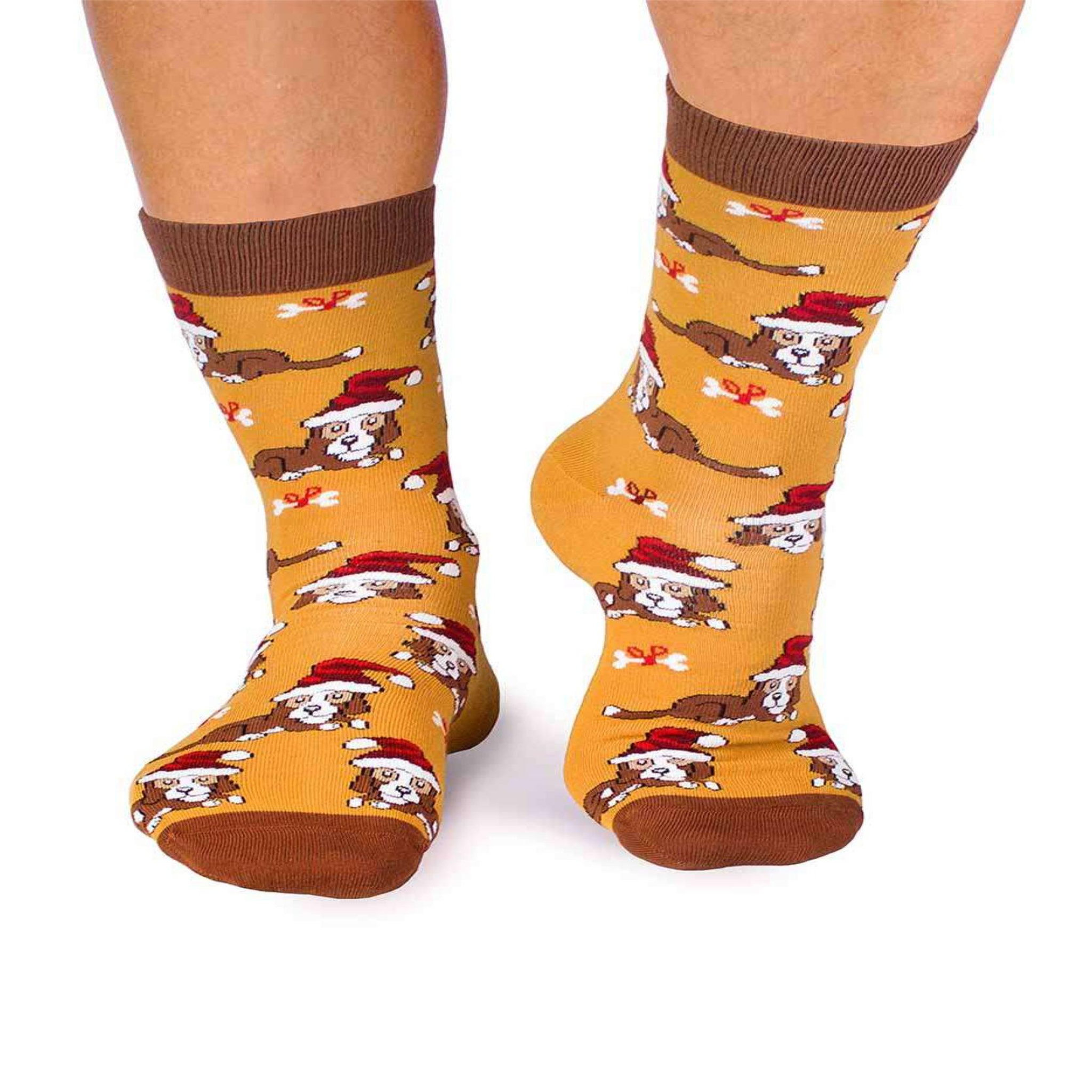 Voir la diapositive 3 : PIRIN HILL Chaussettes coton bio chiens