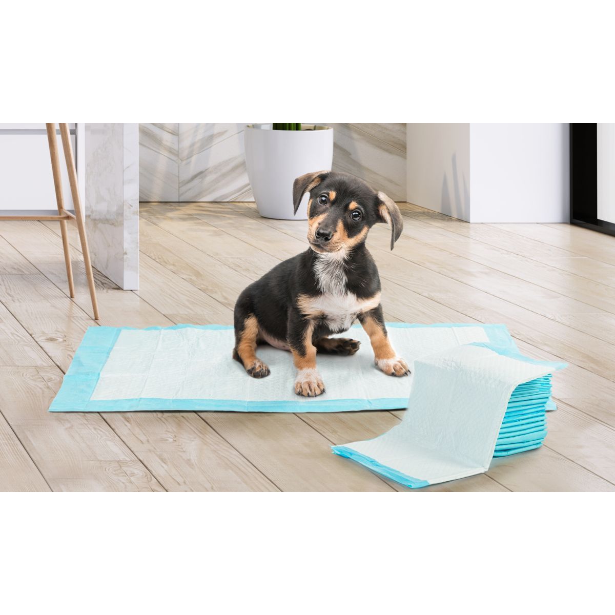 Idomya E. Lot de 100 tapis éducateurs pour chiens
