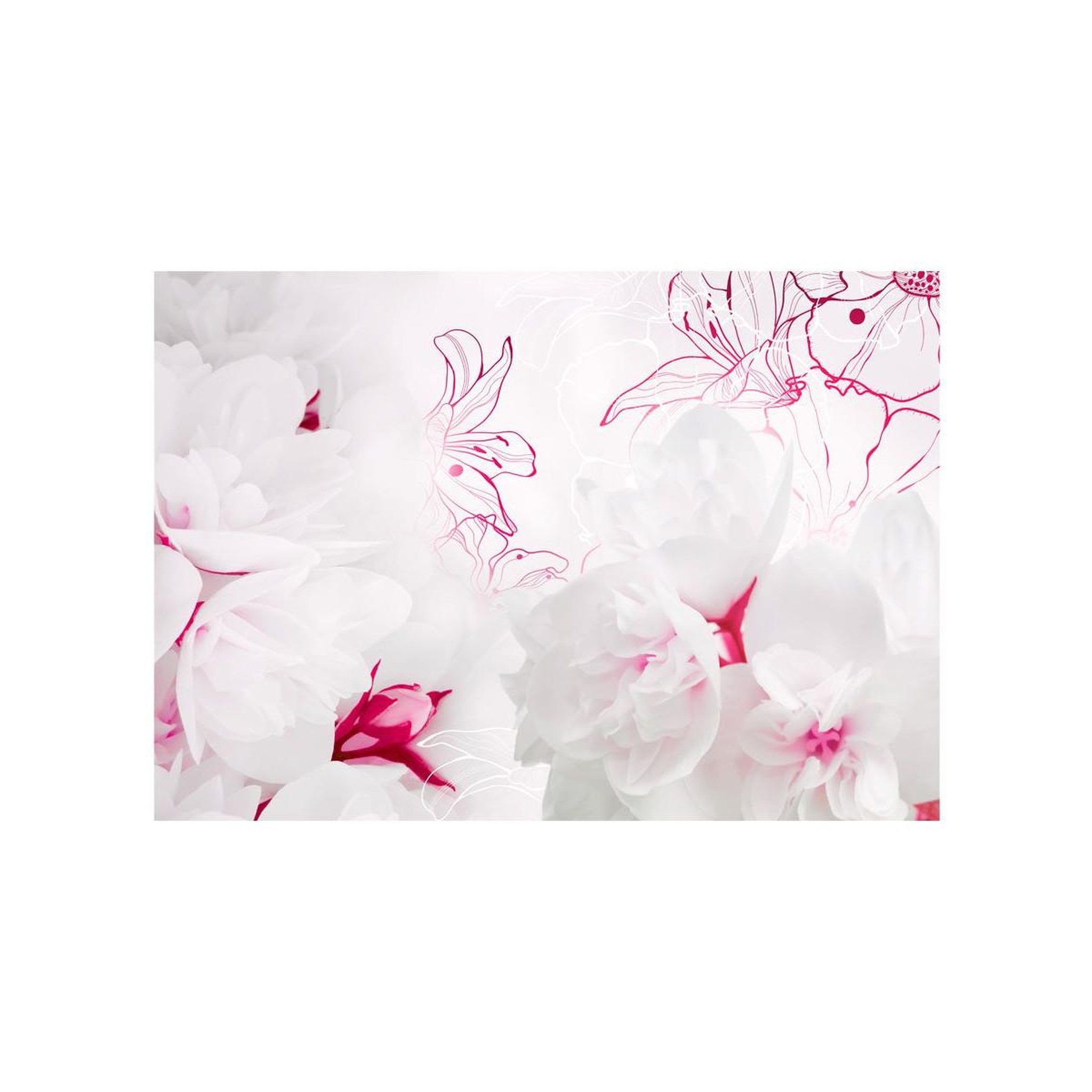 Voir la diapositive 2 : Paris Prix Papier peint  enveloped in white