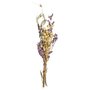Rayher Bouquet de fleurs séchées lilas