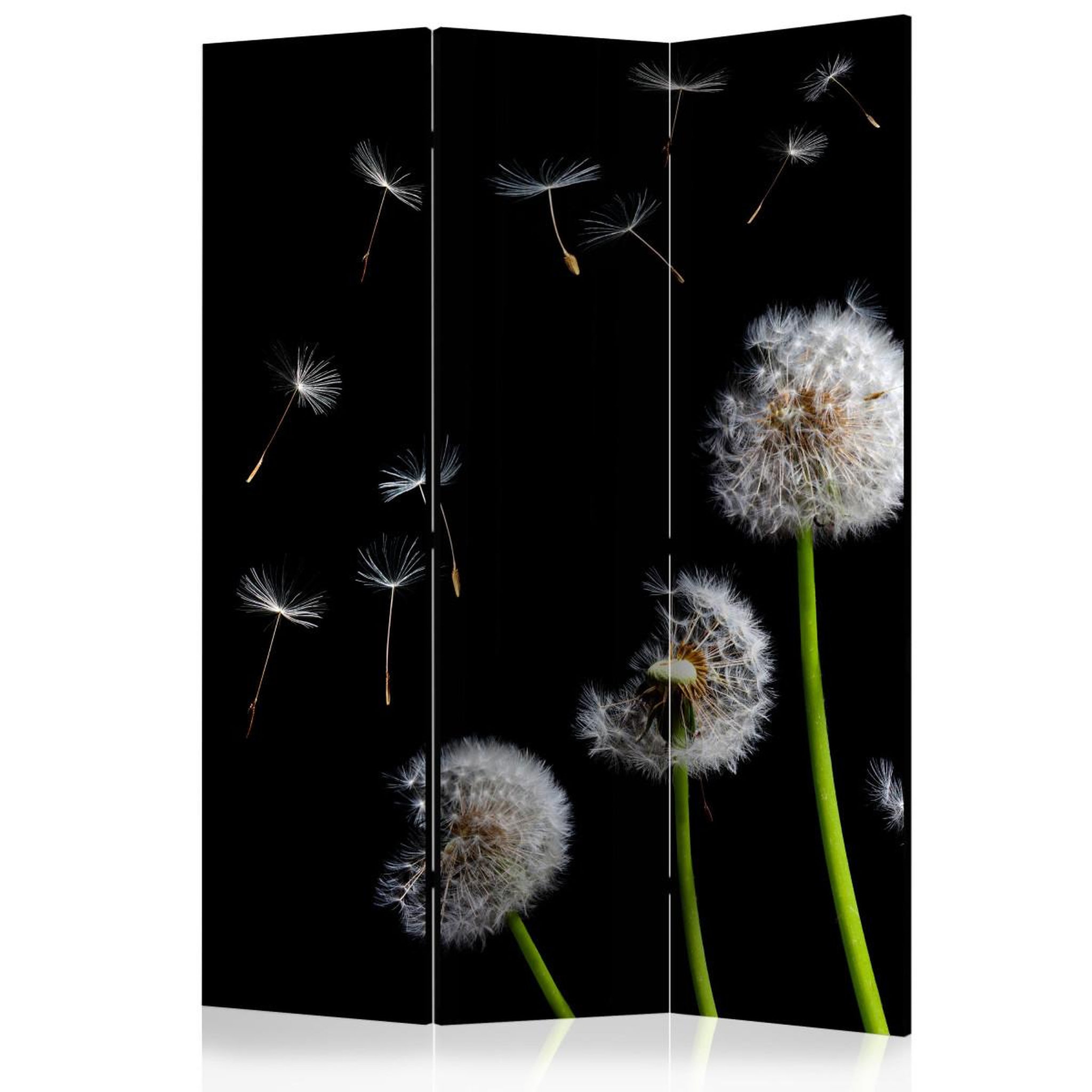 Paris Prix Paravent 3 volets  dandelions in the wind  135x172cm