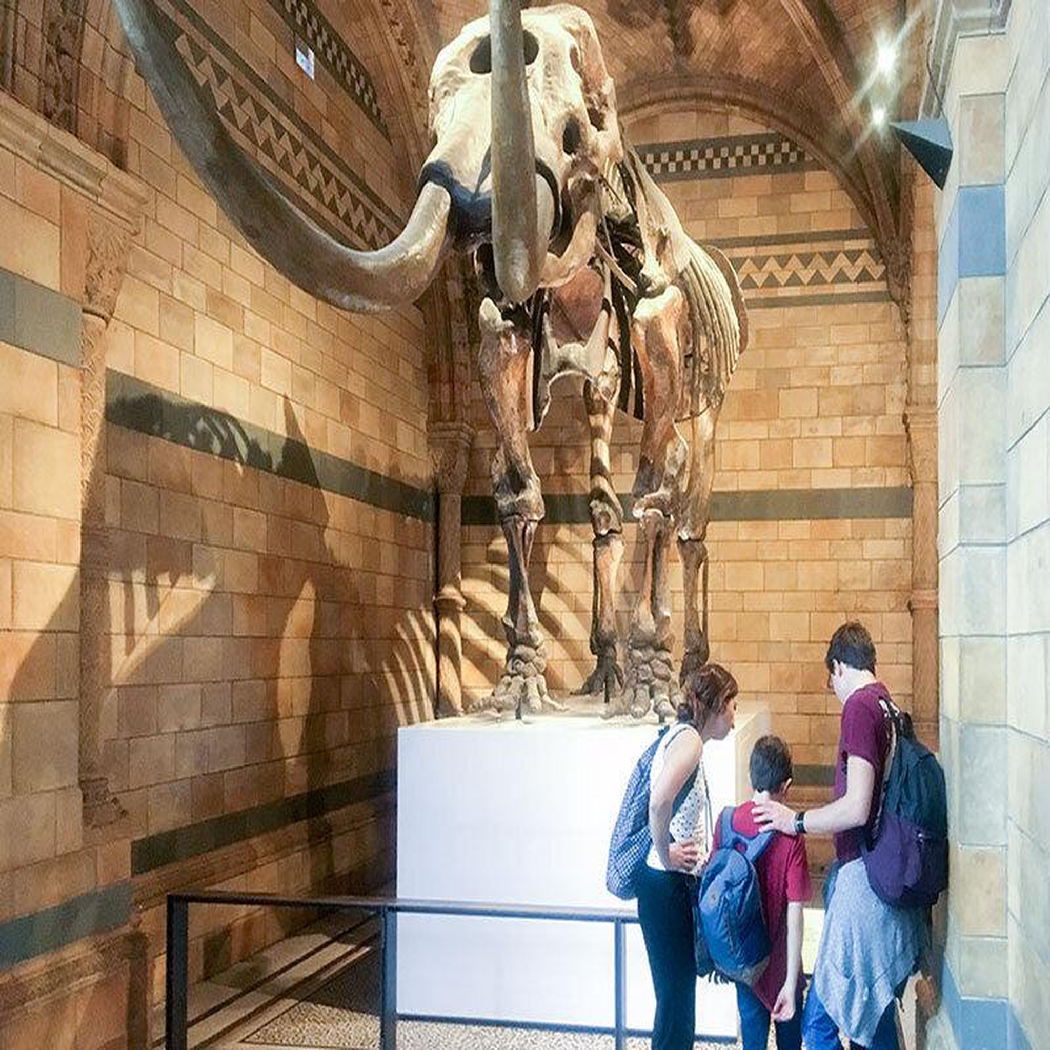 Voir la diapositive 2 : Smartbox Visite guidée du musée d'histoire naturelle de londres en duo - coffret cadeau sport & aventure