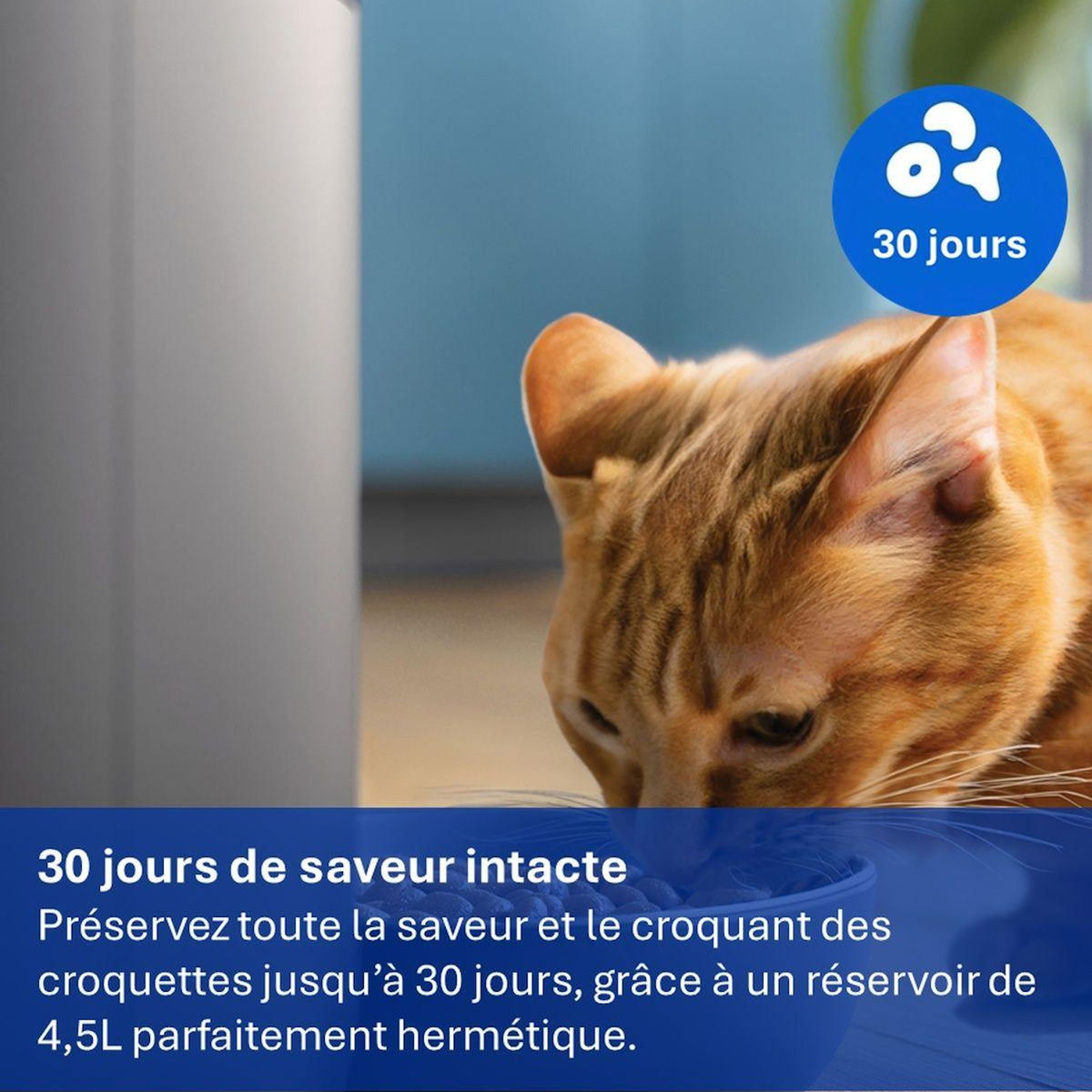 Philips Distributeur de croquettes Série Pet PAW5320/02 connectée avec caméra