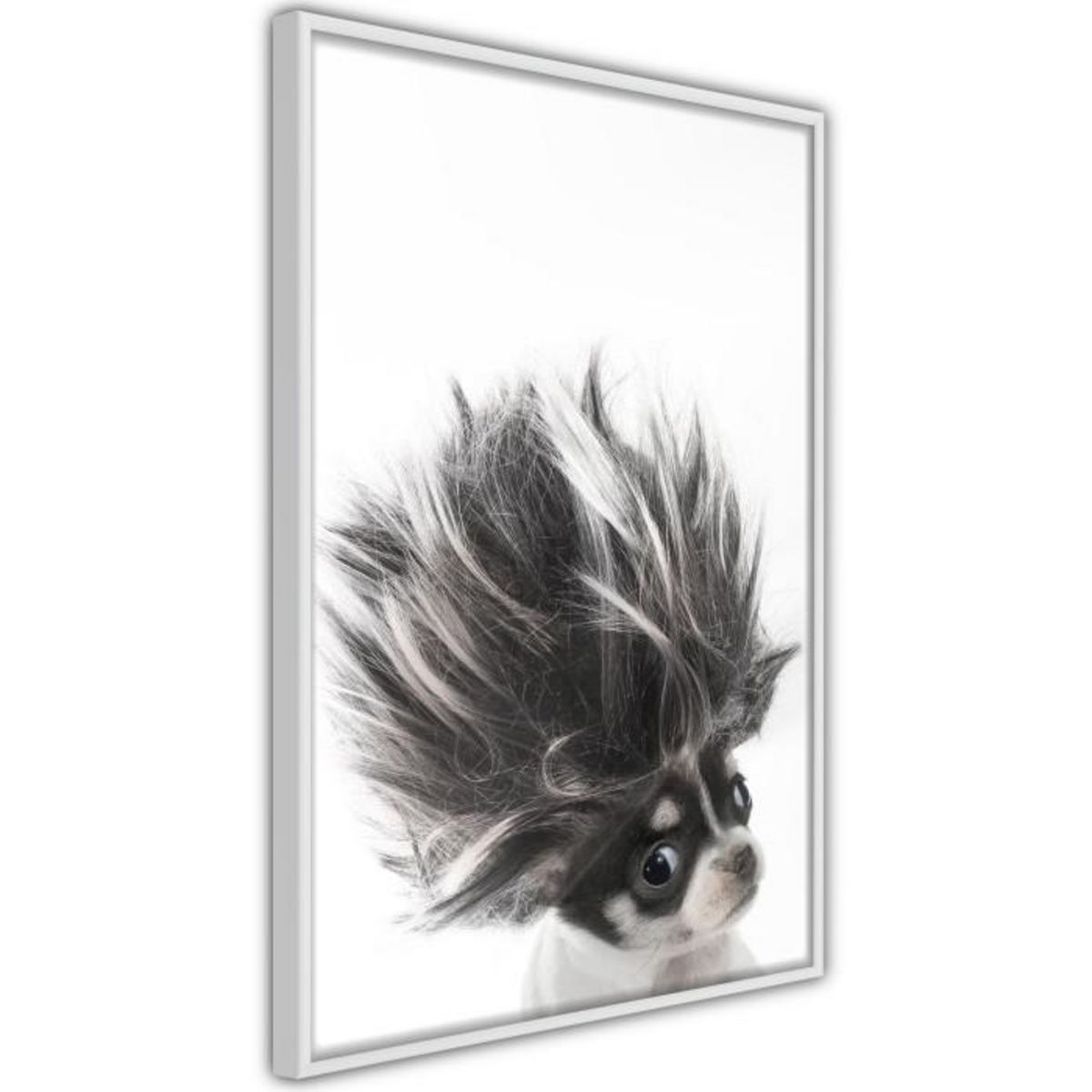 Paris Prix Affiche Murale Encadrée  Funny Chihuahua