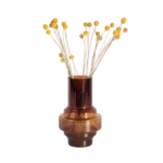 PLANT IN A BOX Fleurs séchées - Bouquet 'Craspedia natural yellow'