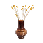 PLANT IN A BOX Fleurs séchées - Bouquet 'Craspedia natural yellow'