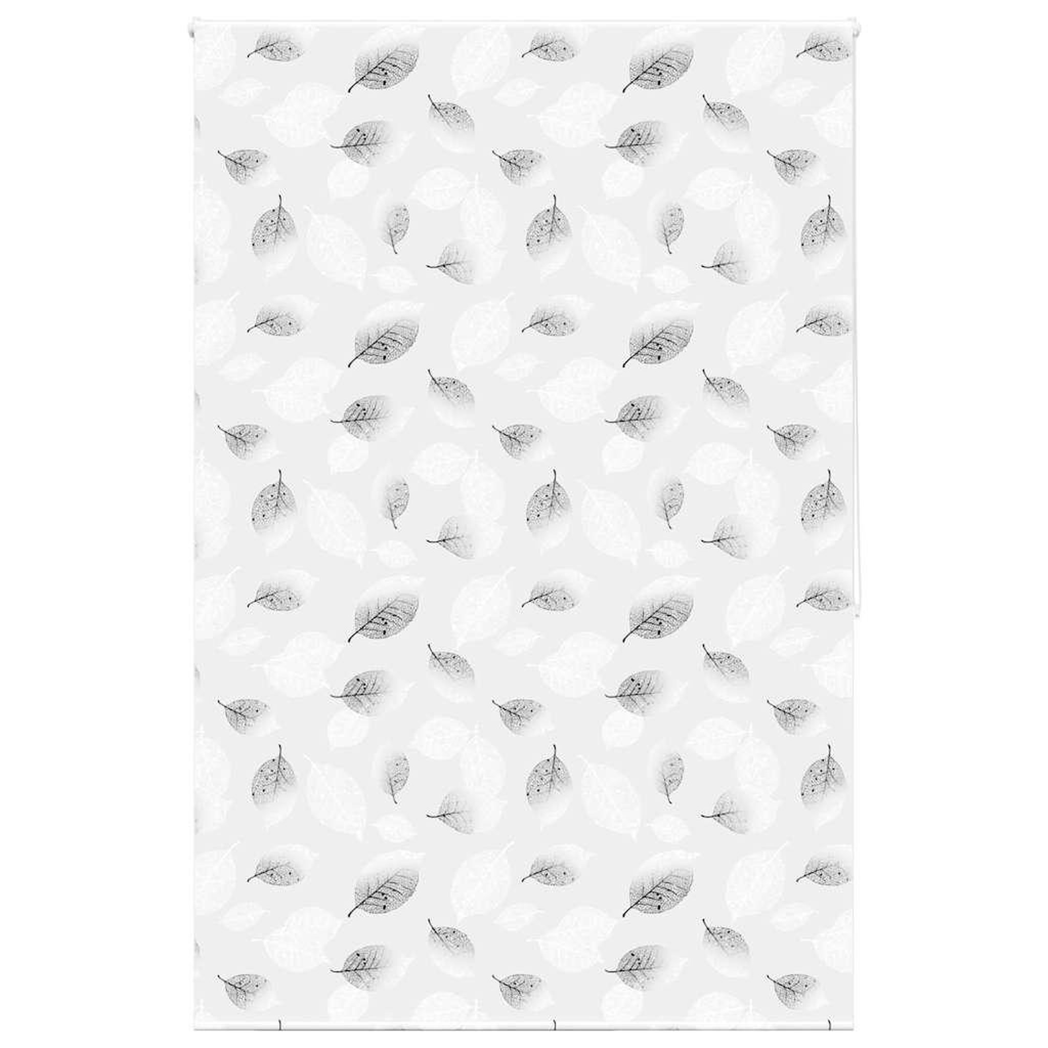 VIDAXL Store enrouleur de douche 150x240 cm largeur du tissu 146 cm