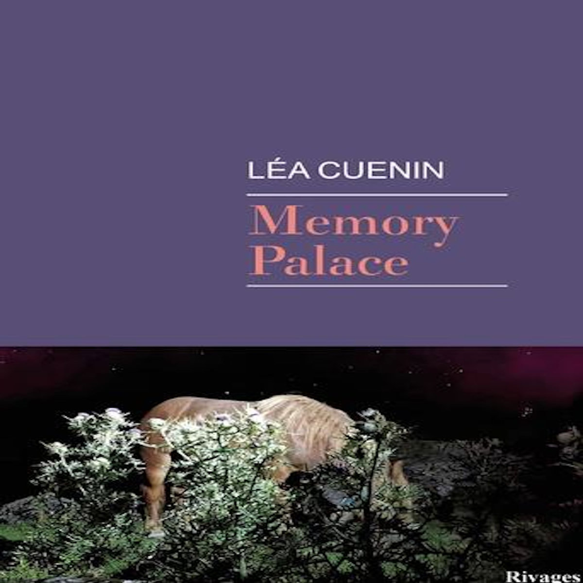 MEMORY PALACE, Cuenin Léa