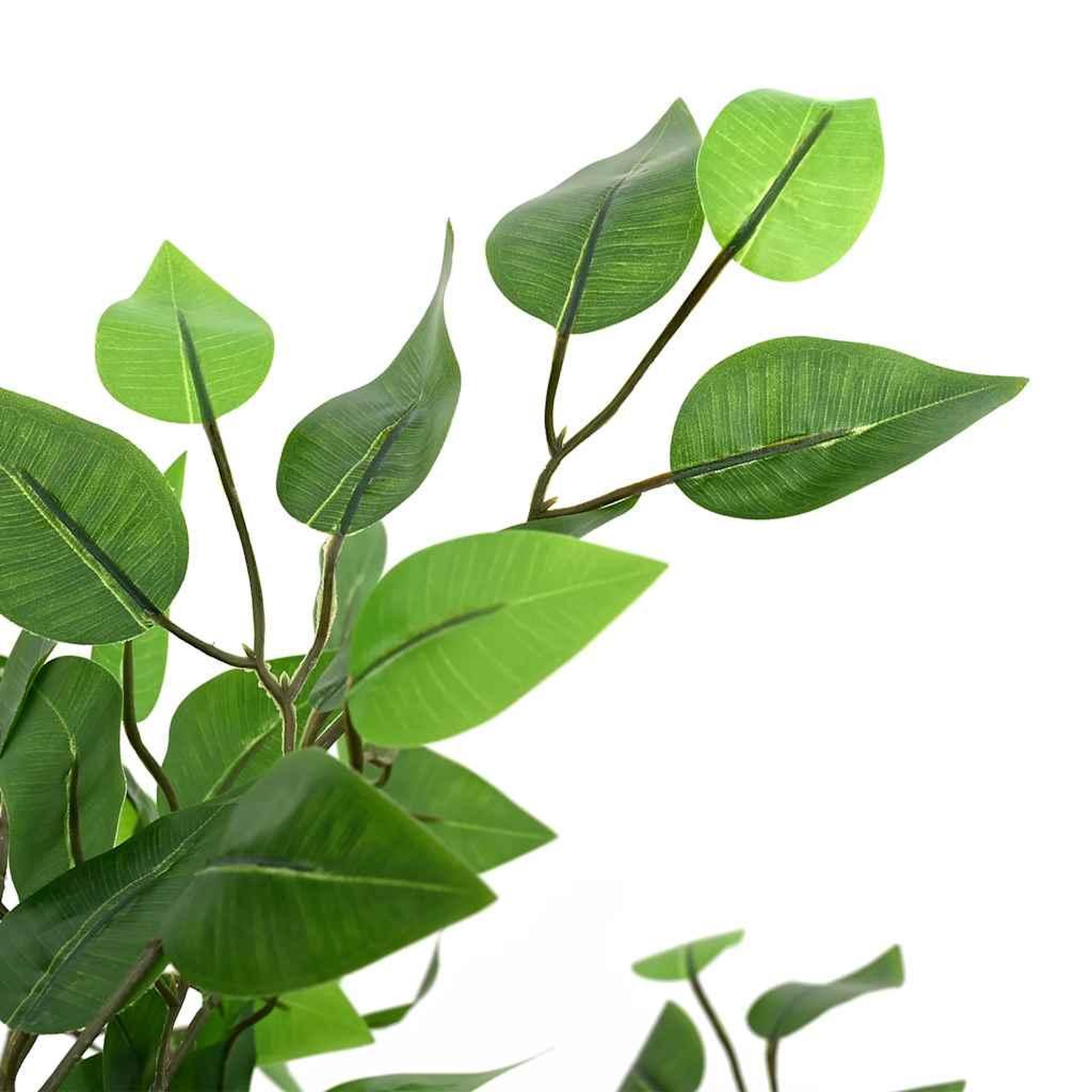 Voir la diapositive 4 : VIDAXL Plante artificielle ficus 788 feuilles 120 cm vert