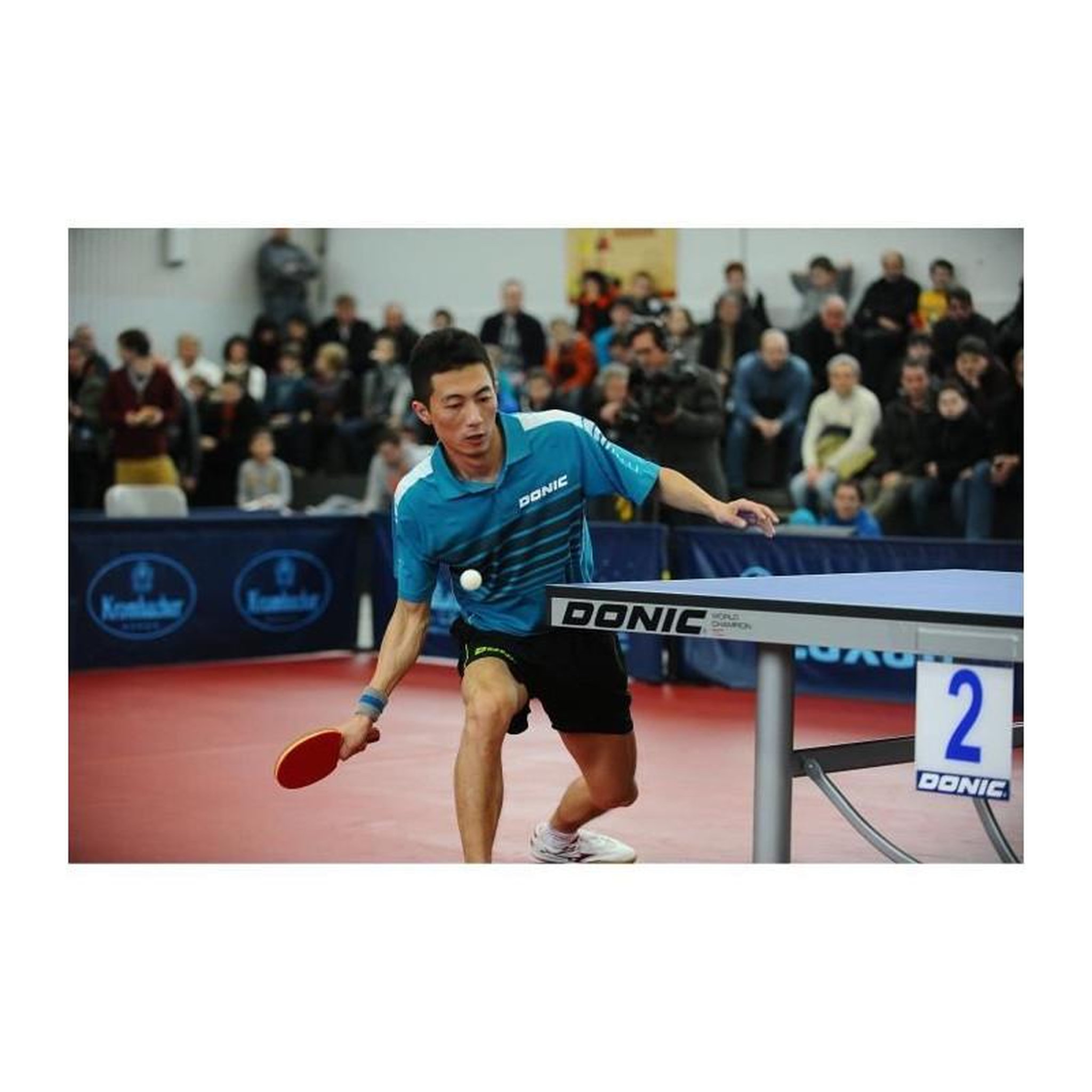 Voir la diapositive 4 : SCHILDKROT Raquette de tennis de table - SCHILDKRÖT - TOP TEAMS 600 AVS,manche
