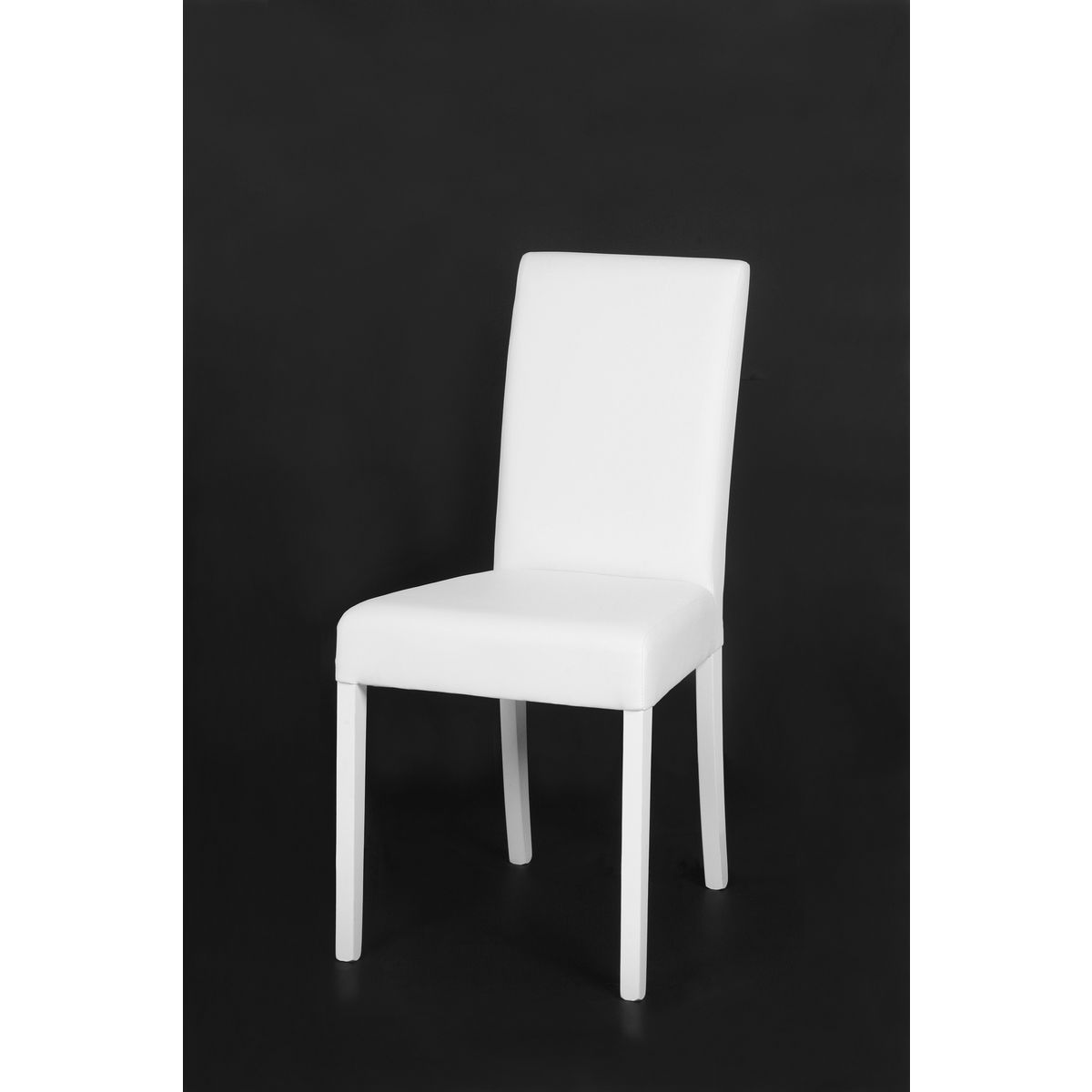 Lot de 2 chaises de séjour salle à manger LANA