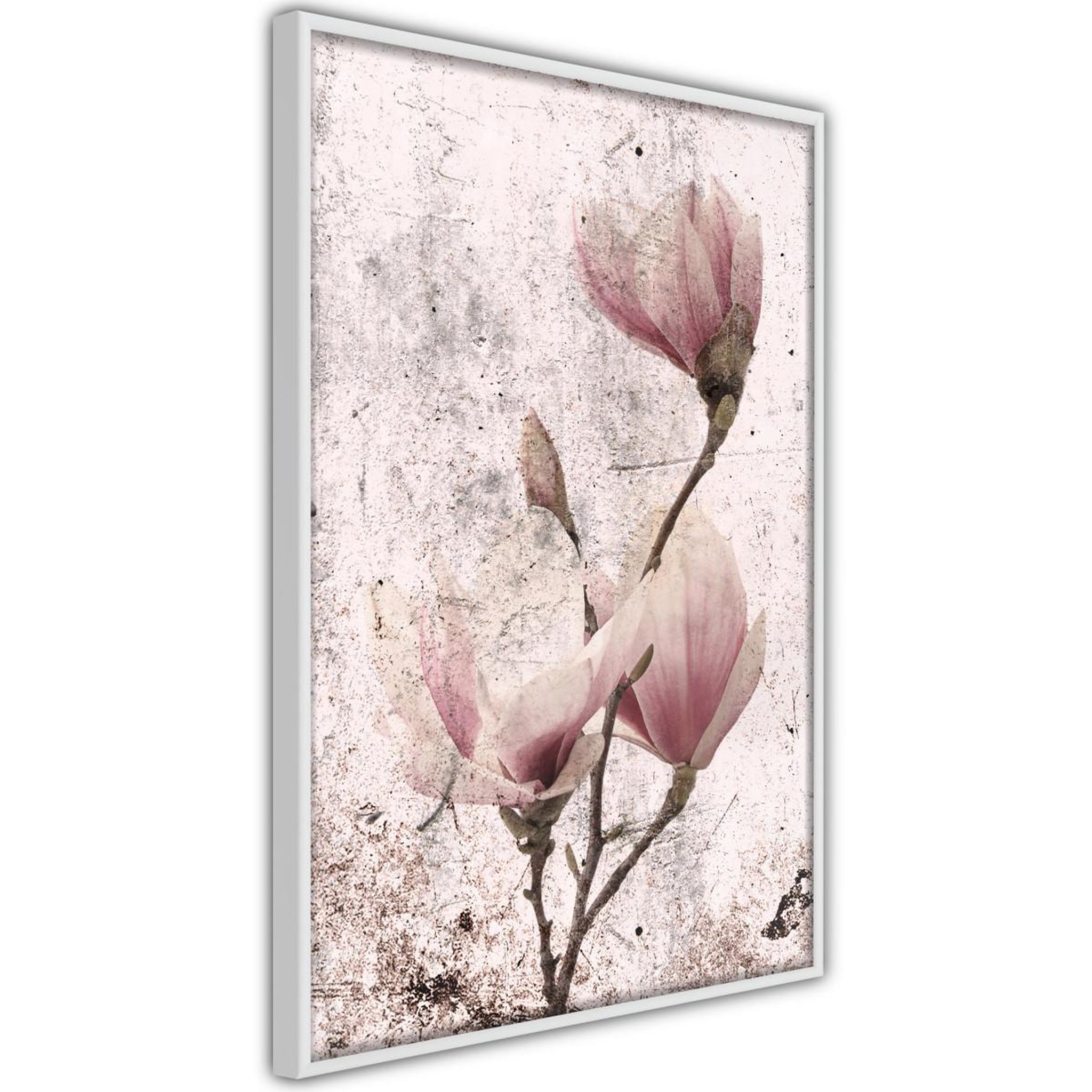 Paris Prix Affiche murale encadrée  queen of spring flowers ii