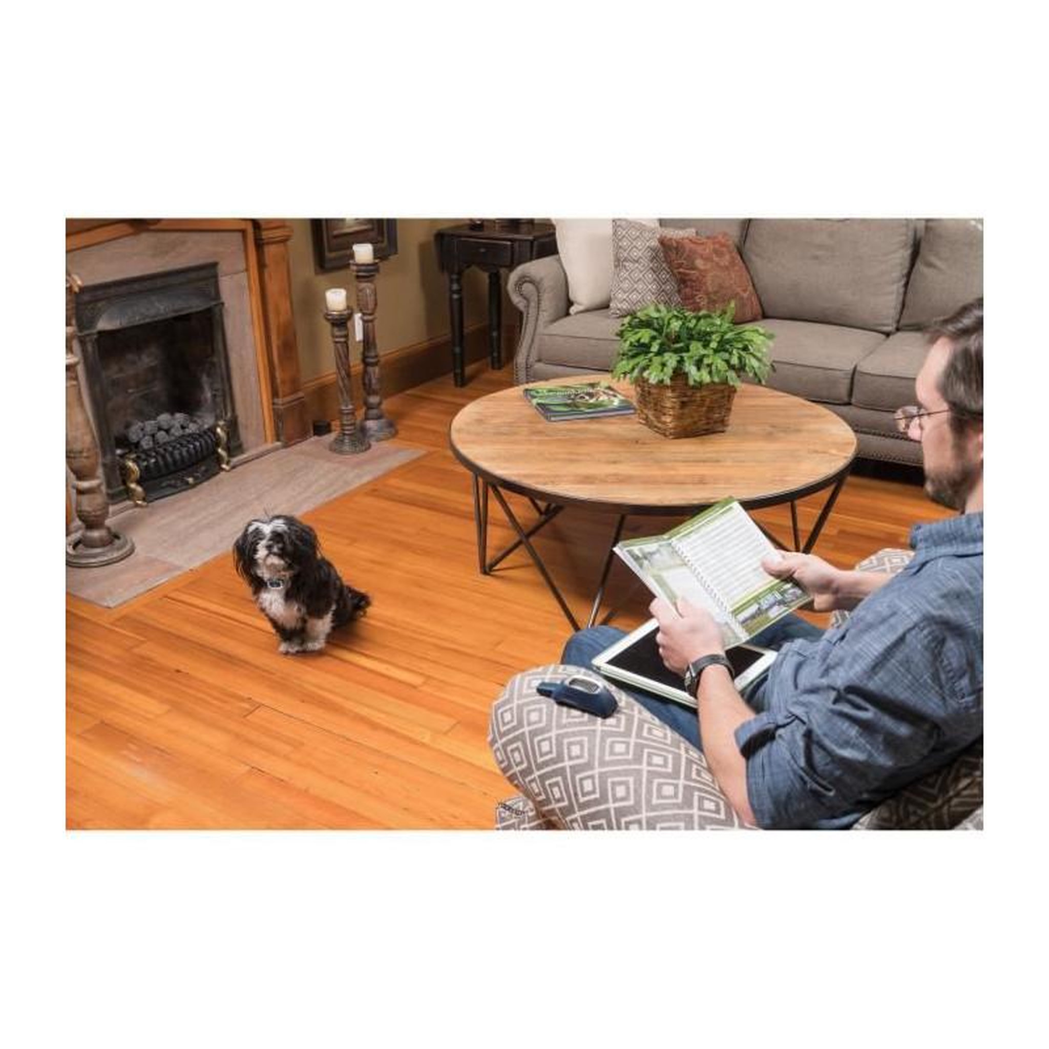 Voir la diapositive 3 : PETSAFE Systeme daide a leducation LITE 300 m
