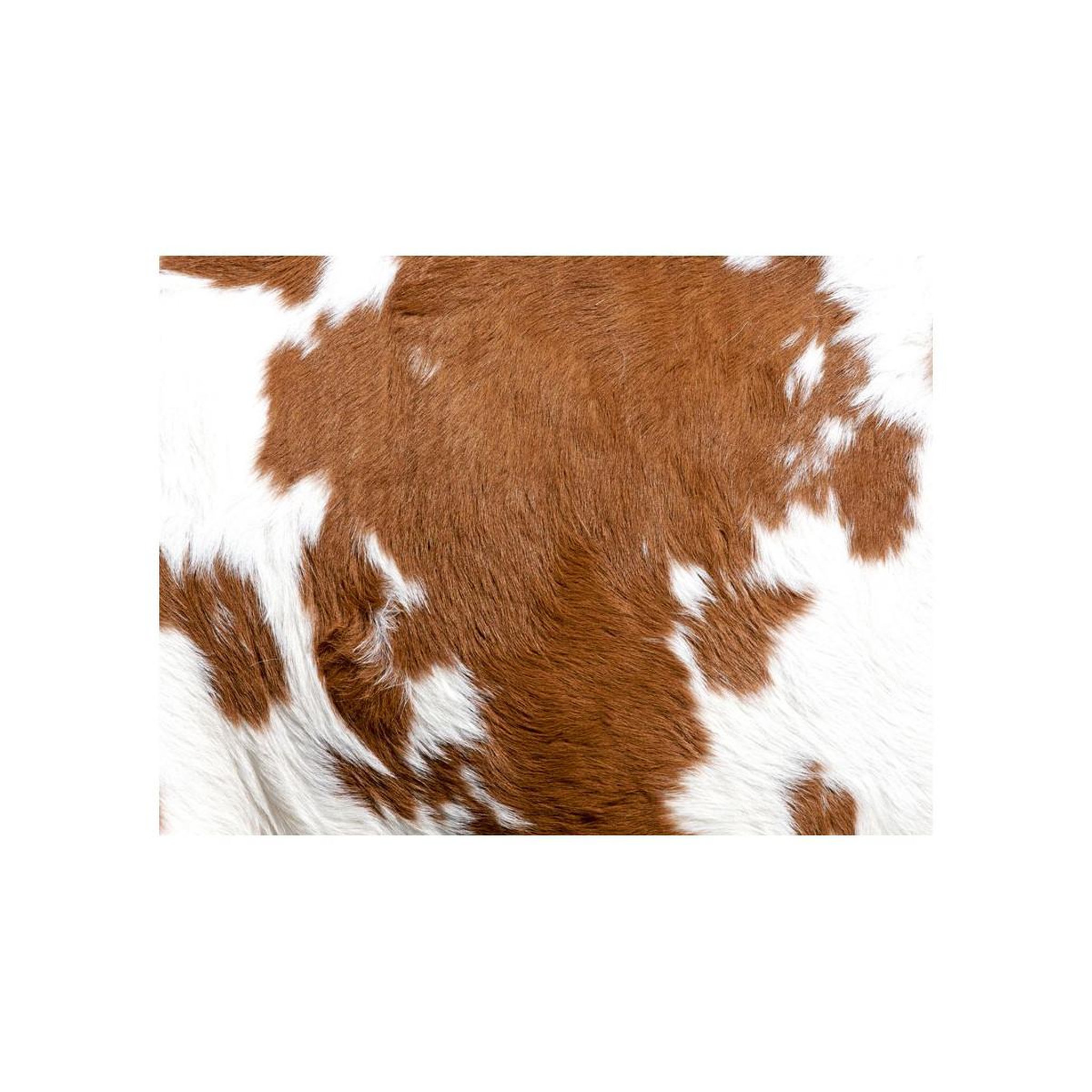 Voir la diapositive 2 : Paris Prix Papier peint  peau de vache