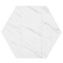 Voir la diapositive 5 : MERAX Table à manger hexagonale
