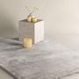 Voir la diapositive 3 : Paris Prix Tapis Design Uni  Blanca  160x230cm Gris Clair